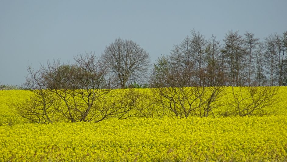 2015Ostsee0510252
