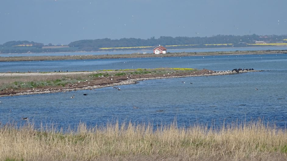 2015Ostsee0518282