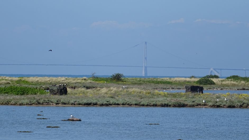 2015Ostsee0518286