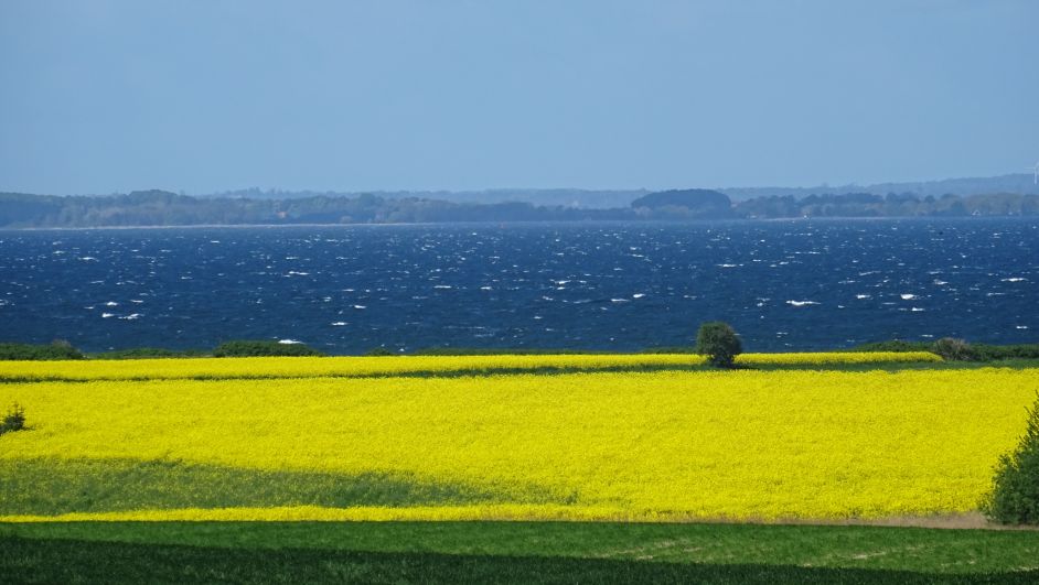 2015Ostsee0518306