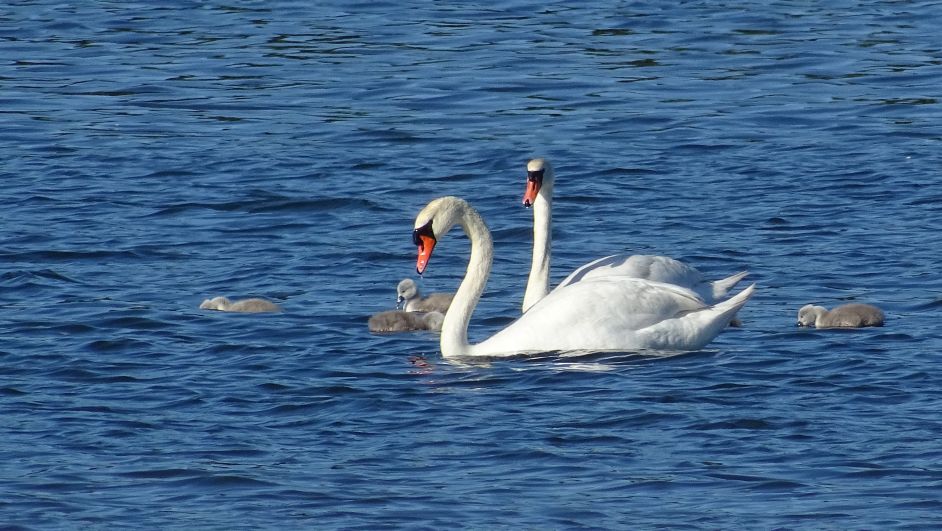 You are currently viewing Bodden bis zum Anschlag